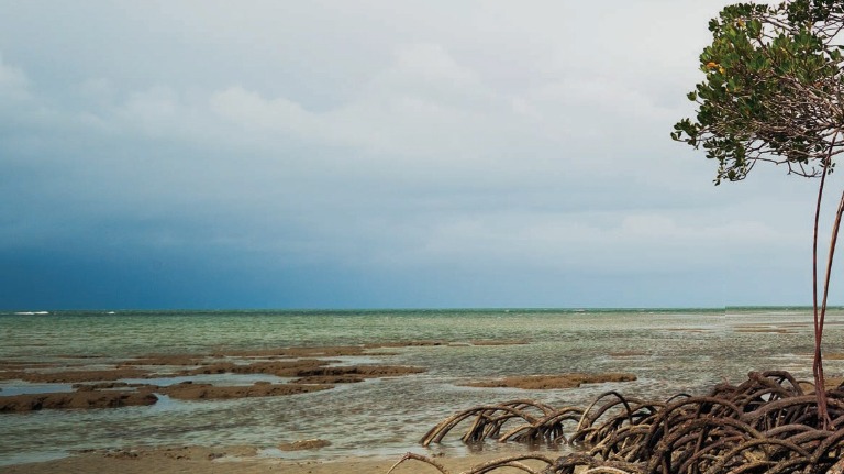 Making carbon while the sun shines