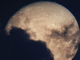 Back to the Moon