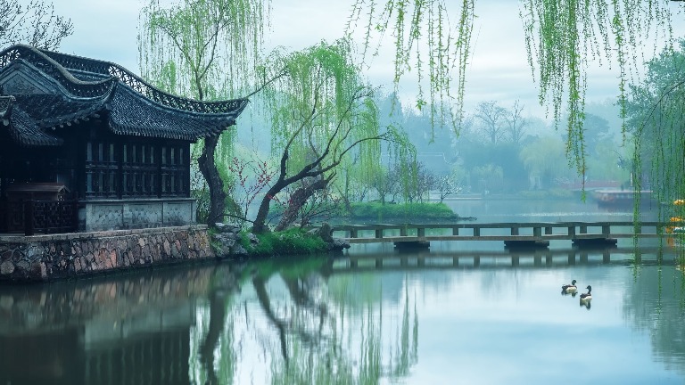 Chinese Trees and Their Meanings over