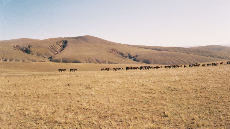 Secrets of the Steppe: A Road Trip Through China’s Northern Borderland over