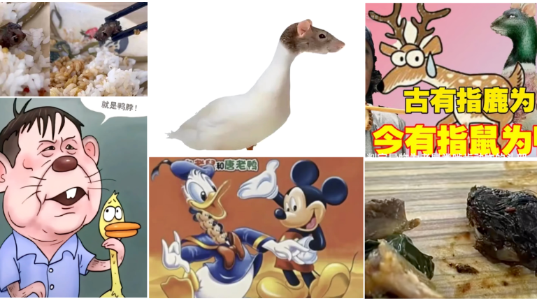 Duck, Duck, Rat: A Rodent’s Head Prompts a Deluge of Memes over