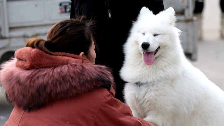 SOCIETY-->ENVIRONMENT