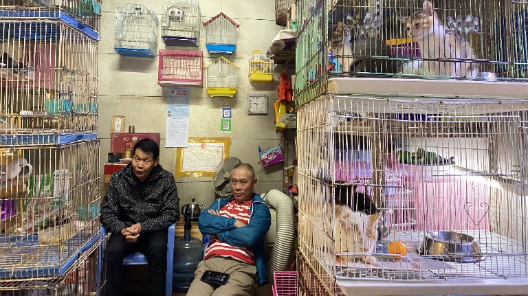 Is China’s Pet Boom Over? over